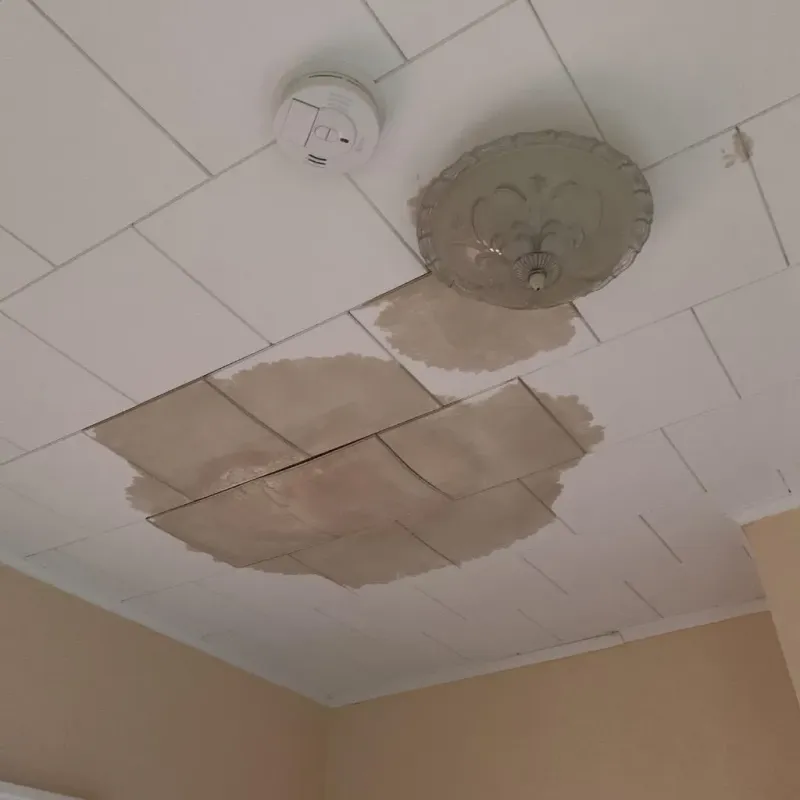 Ceiling Water Damage Repair in Naranjito, PR