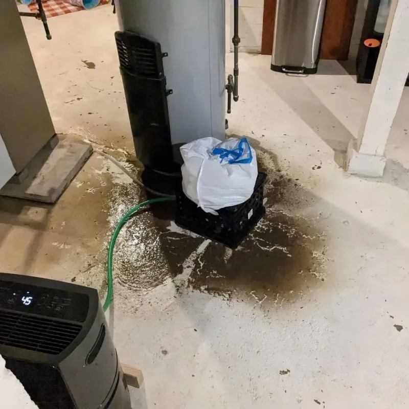 Sewage Backup Cleanup Service in Naranjito, PR